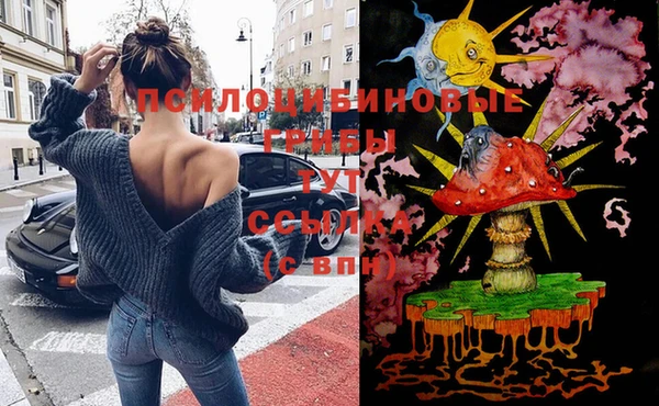 МДПВ Абинск
