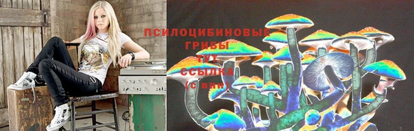 СК Абаза