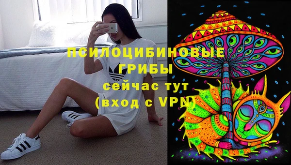 спайс Алексеевка
