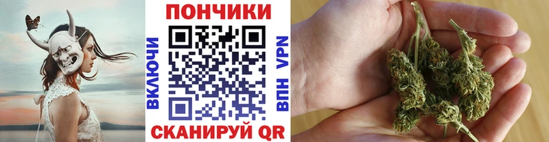 как найти закладки  кракен ссылки  даркнет клад  Дятьково  Бошки марихуана SATIVA & INDICA 